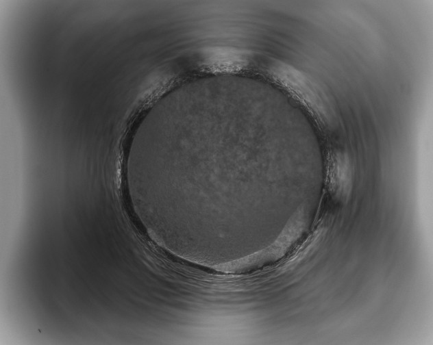 X0000093400501200710190927