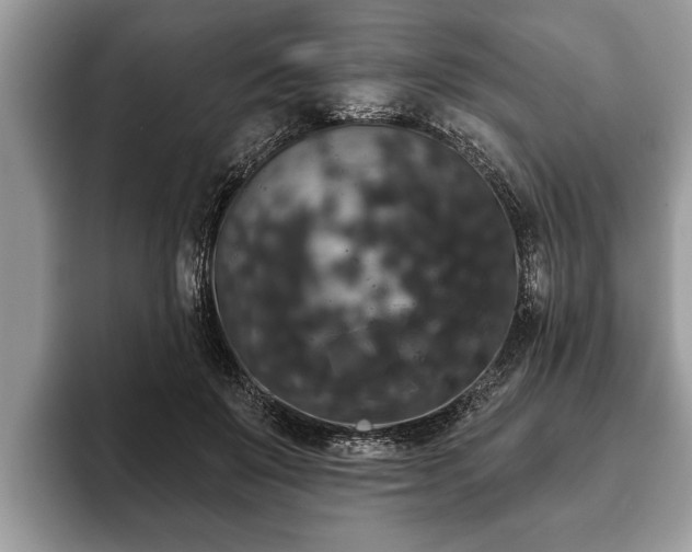 X0000093400503200710190927