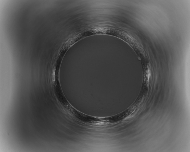 X0000093400504200710190927
