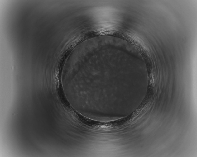 X0000093400506200710190927
