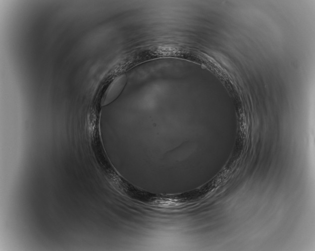 X0000093400507200710190927