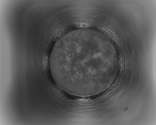 X0000093400511200710190927