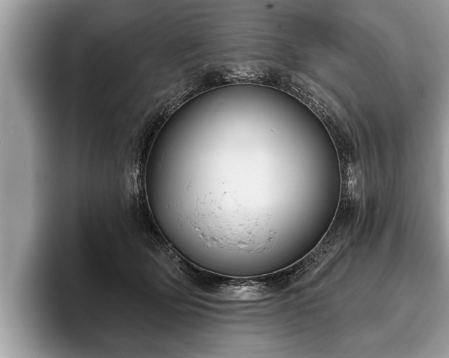 X0000093400514200710190927