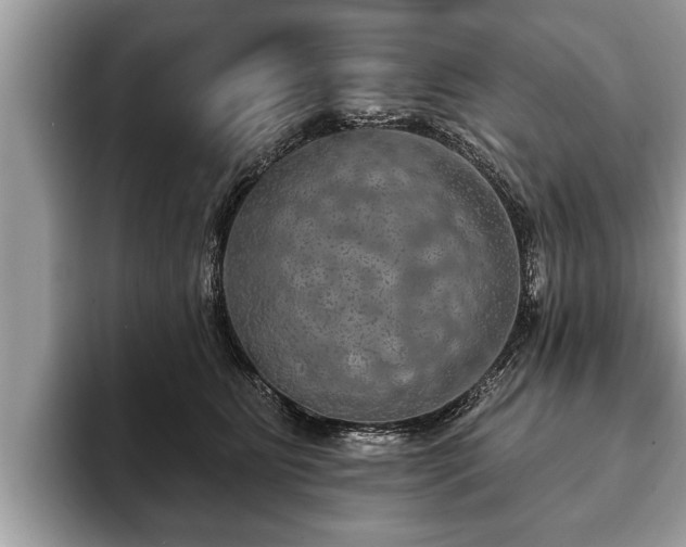 X0000093400515200710190927