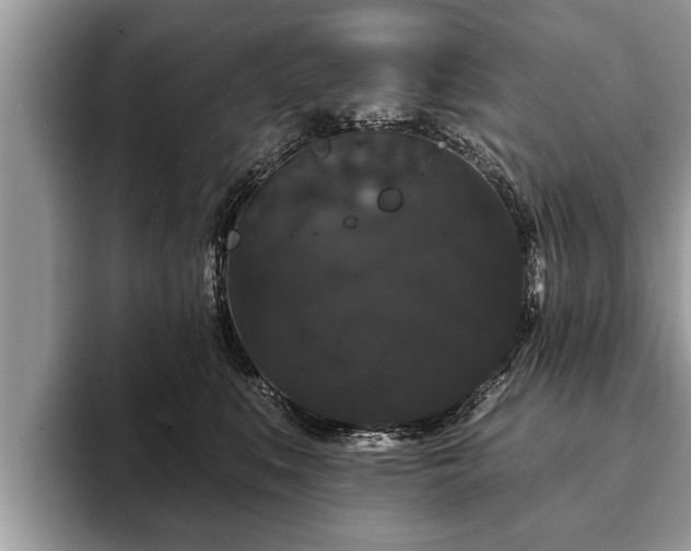 X0000093400519200710190927
