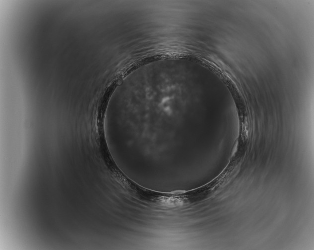 X0000093400520200710190927