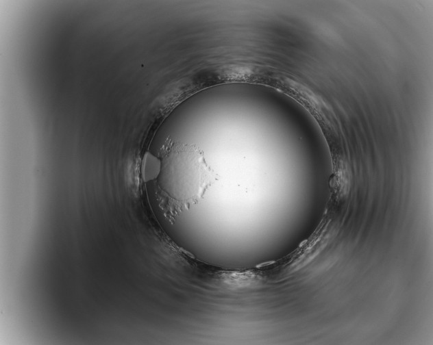 X0000093400525200710190927