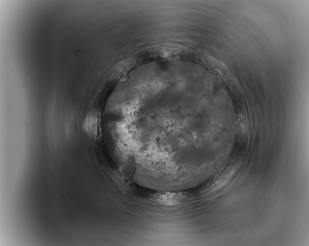 X0000093400527200710190927