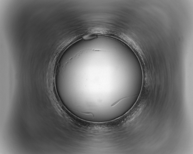 X0000093400529200710190926