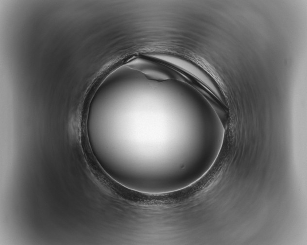 X0000093400530200710190926