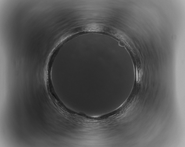 X0000093400531200710190926