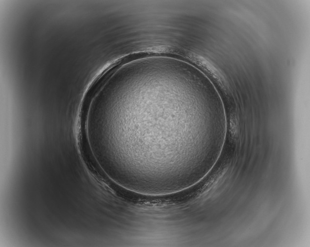 X0000093400532200710190926