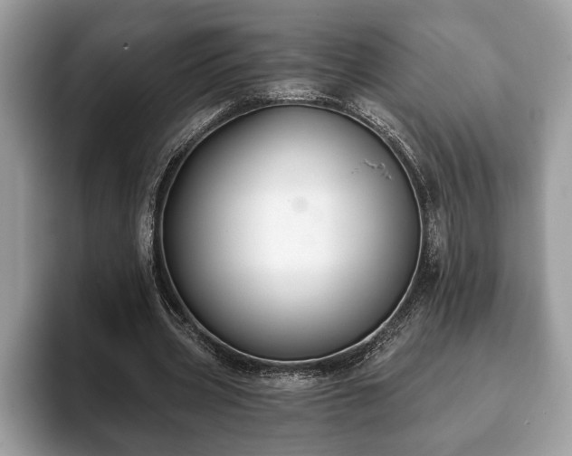 X0000093400533200710190926
