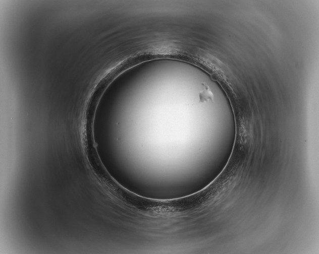 X0000093400535200710190926