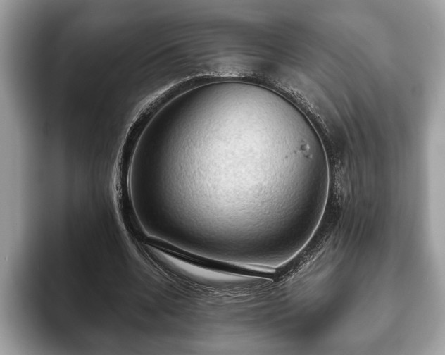 X0000093400536200710190926
