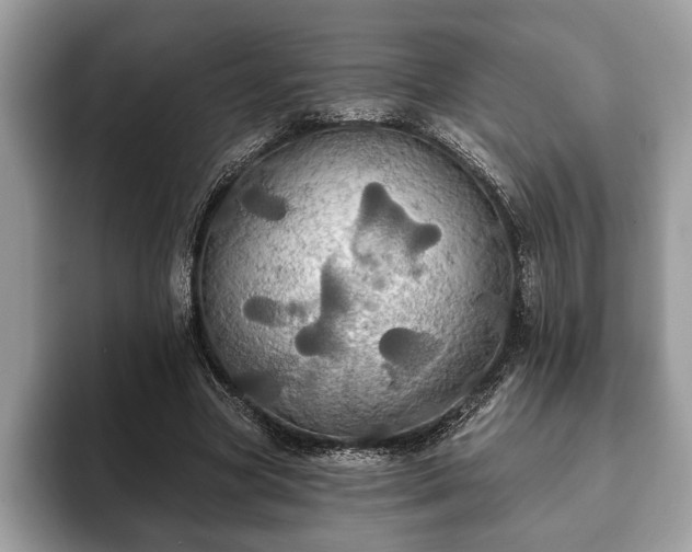X0000093400537200710190926
