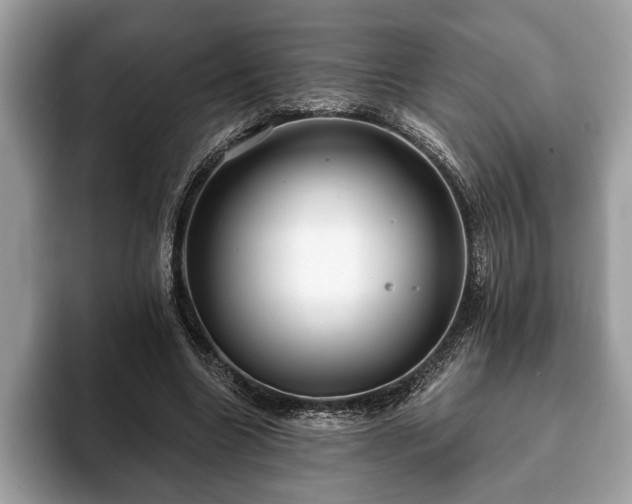 X0000093400538200710190926