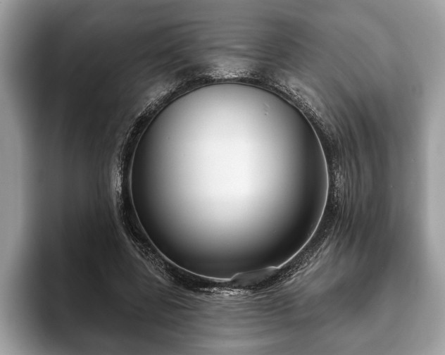 X0000093400539200710190926