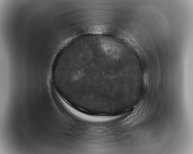 X0000093400540200710190926