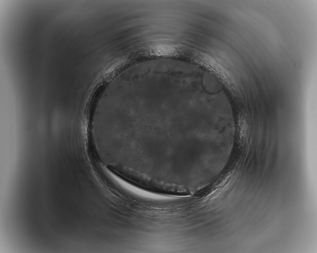 X0000093400542200710190926