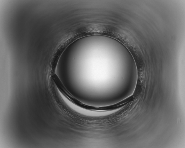 X0000093400544200710190926