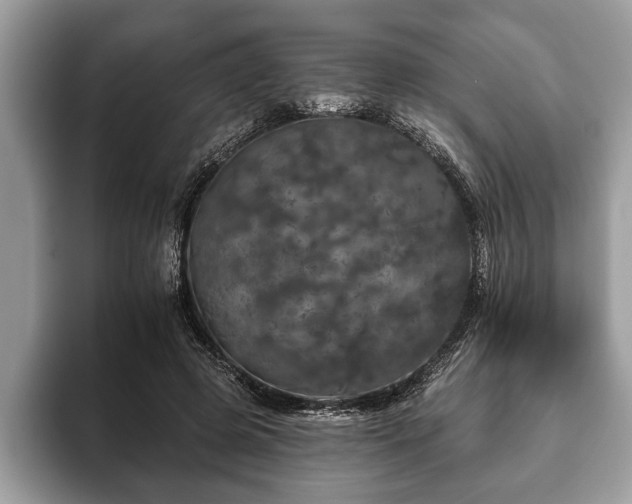 X0000093400545200710190926