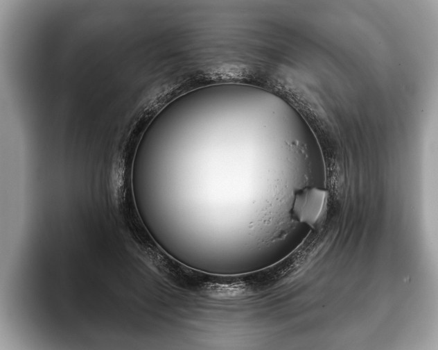 X0000093400548200710190926