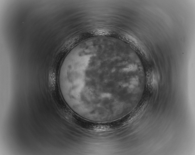 X0000093400549200710190926