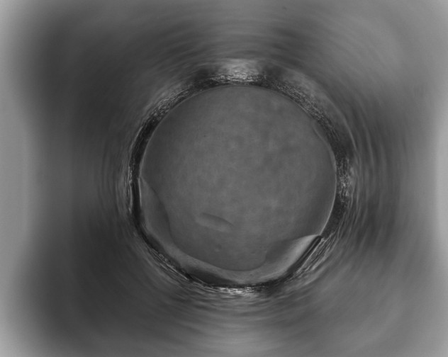 X0000093400552200710190926