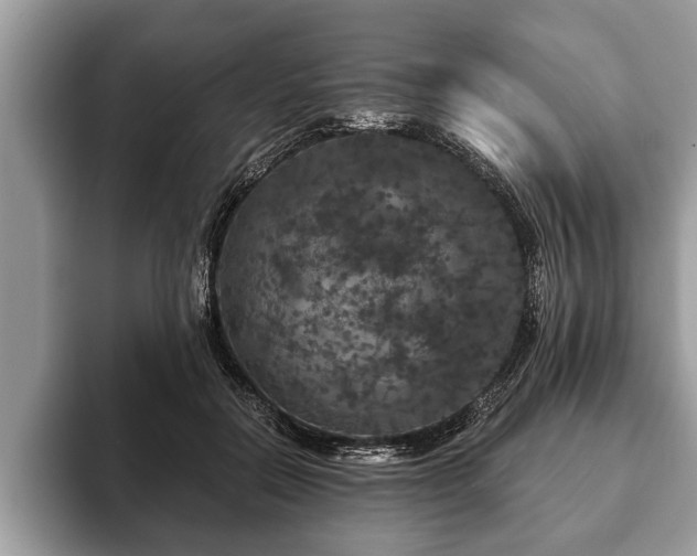 X0000093400554200710190926