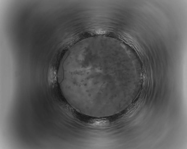 X0000093400555200710190926