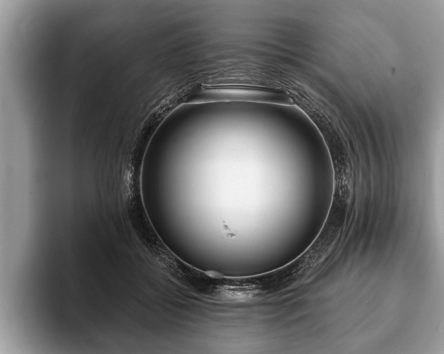 X0000093400556200710190926