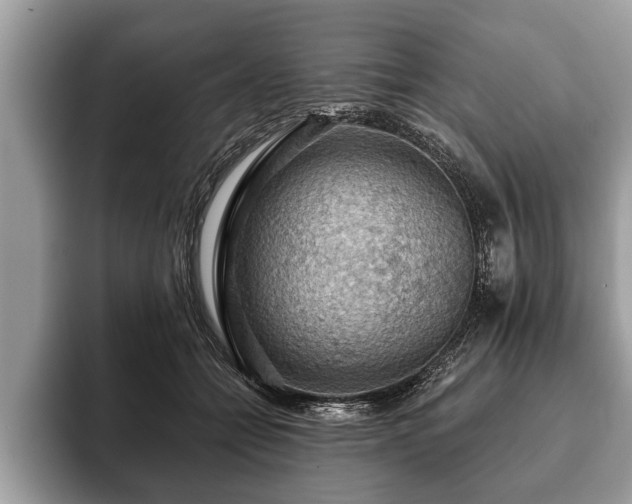 X0000093400558200710190926