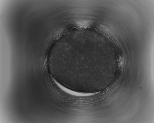 X0000093400559200710190926