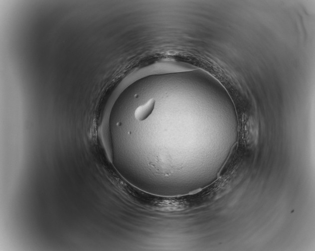X0000093400562200710190926
