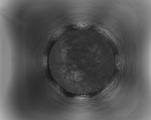 X0000093400563200710190926