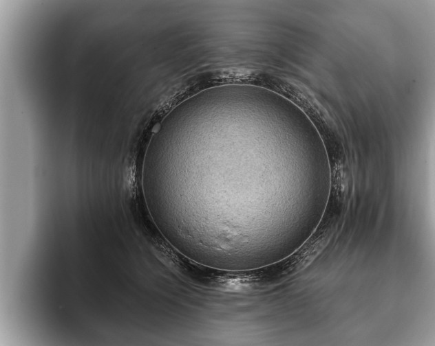 X0000093400564200710190926