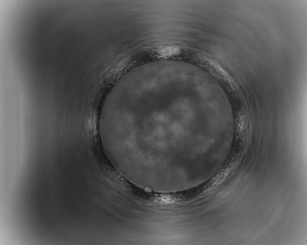 X0000093400565200710190926