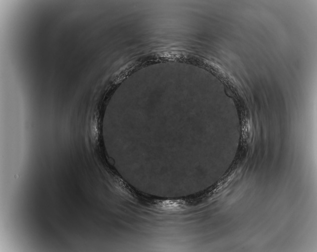 X0000093400566200710190926
