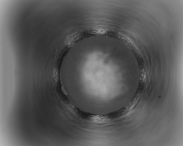 X0000093400568200710190926