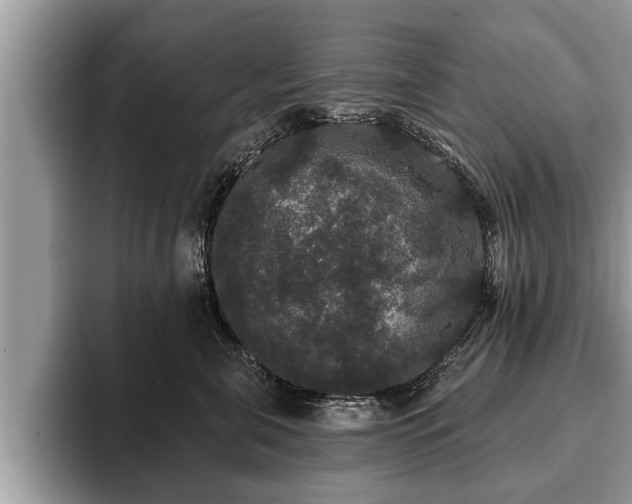 X0000093400571200710190926