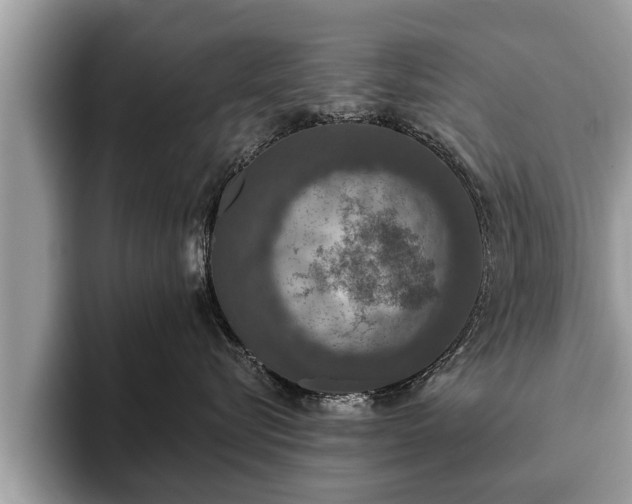 X0000093400576200710190927