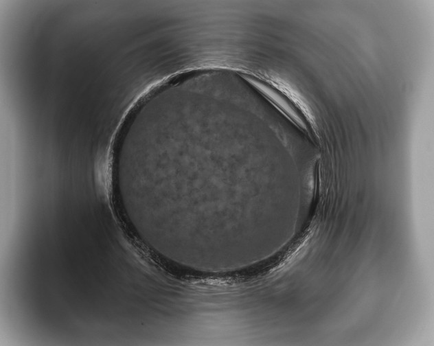X0000093400580200710190926