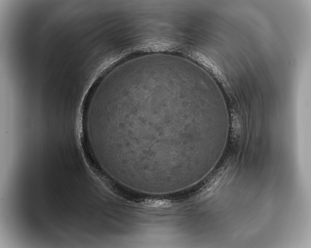 X0000093400582200710190926