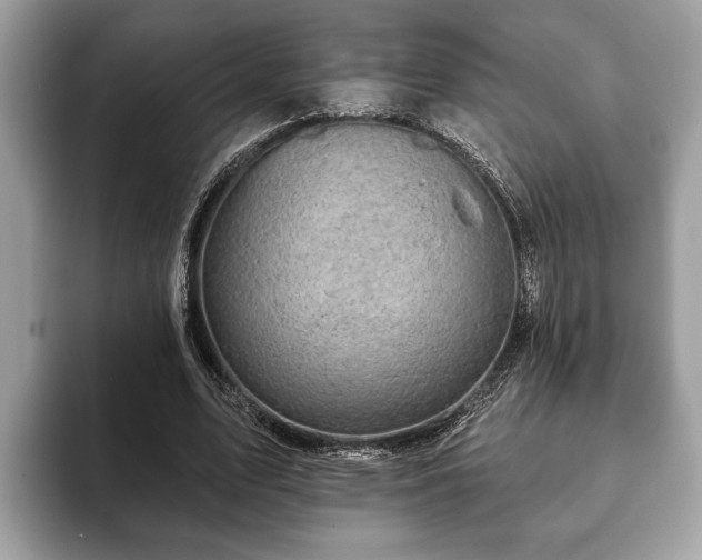 X0000093400583200710190926