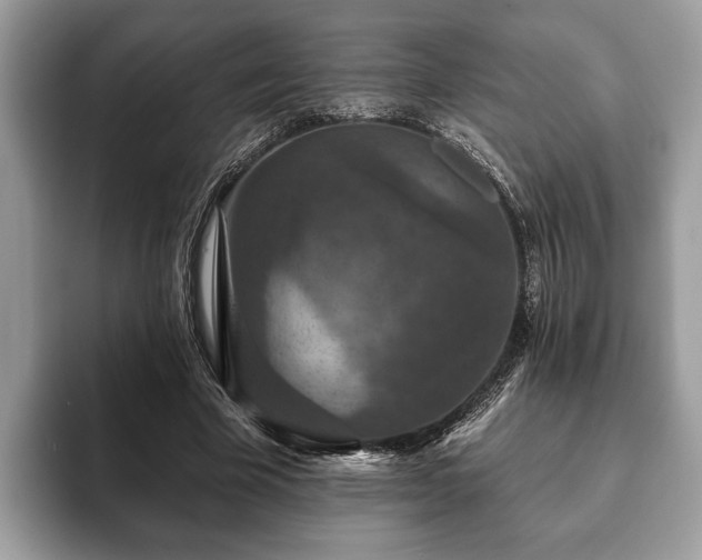 X0000093400585200710190926