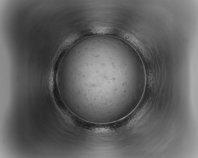 X0000093400586200710190926