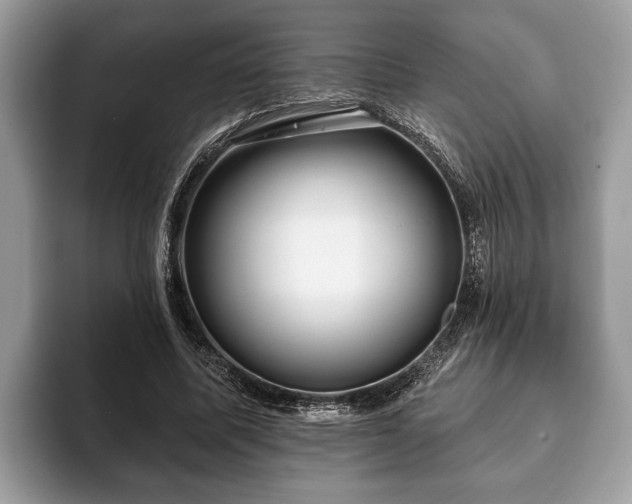X0000093400587200710190926