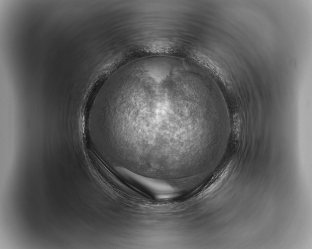 X0000093400589200710190926