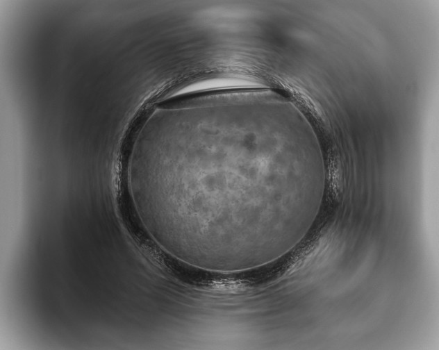 X0000093400591200710190926